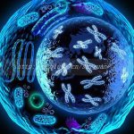 2023年在苏州私立医院做三代试管婴儿生男孩一般要花多少钱