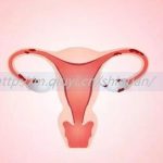 2023不结婚可以通过三代试管怀双胞胎吗