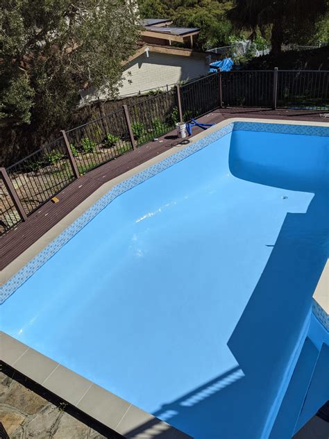Swamp Dogg Gets His Pool Painted 2025 𝙵ree To𝚛rent Dow𝚗load
